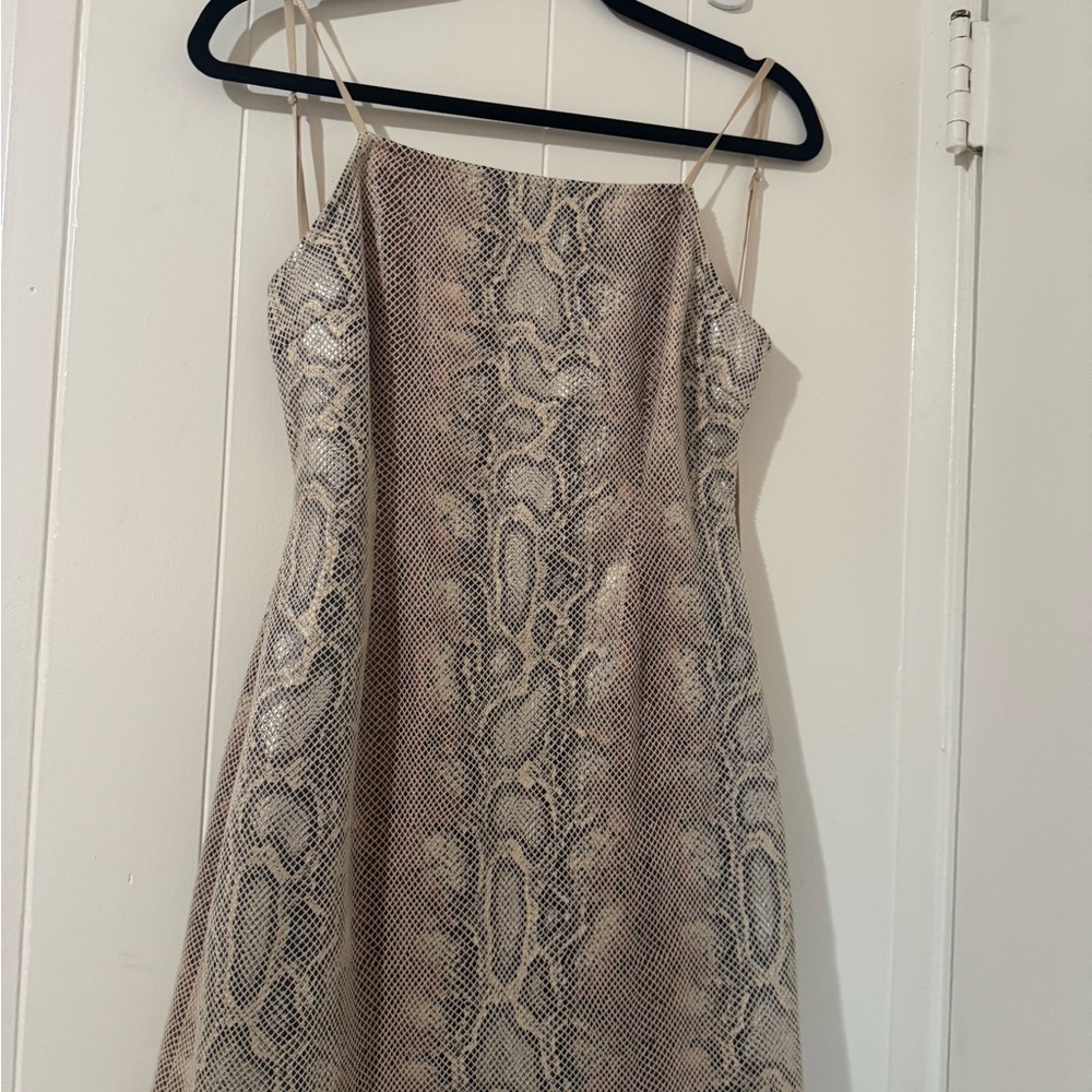 Urban Outfitters Snake Print Mini Dress